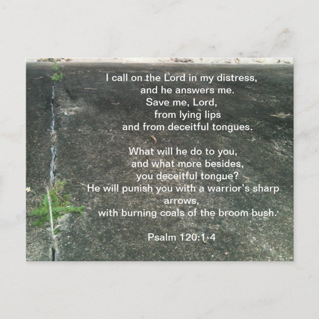 Postal Dios te protege de los mentirosos (Anverso)