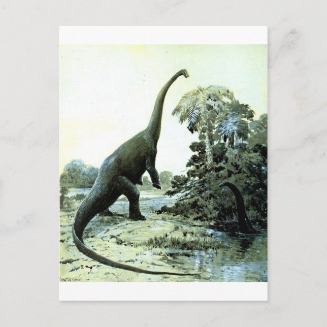 Postal diplodocuments-1 (Anverso)