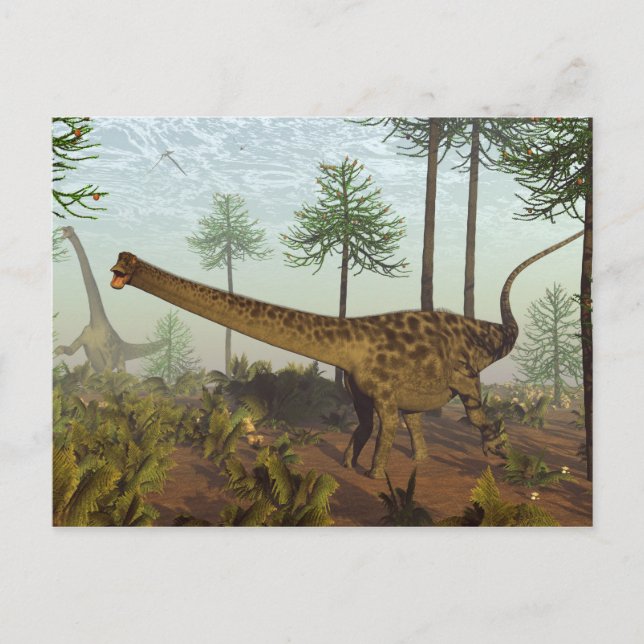 Postal Diplodocumentus dinosaurios entre araucarios - 3D  (Anverso)