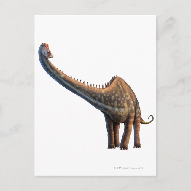 Postal Diplodocus (Anverso)