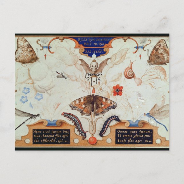 Postal Díptico con flores e insectos, 1591 (Anverso)