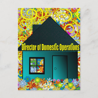 Postal Director de Operaciones Domésticas