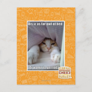 Postal Dis está tan lejos de la cama.