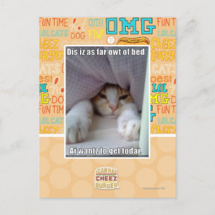 Postal Dis está tan lejos de la cama.