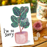 Postal Disculpa Condolencias Calathea Planta de Oración A<br><div class="desc">Echa un vistazo a esta colorida planta de calateas acuáticas. ¡Puedes guardar el texto o borrar y añadir el tuyo! ¡Visita mi tienda para más!</div>