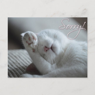 Postal Disculpen a gato Gracioso Paw Cute Animales