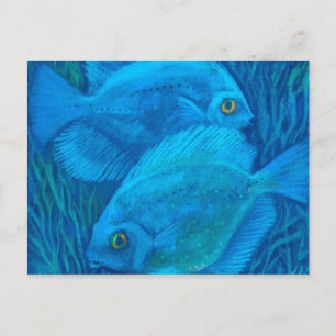 Postal Discusiones azules, peces tropicales bajo el agua