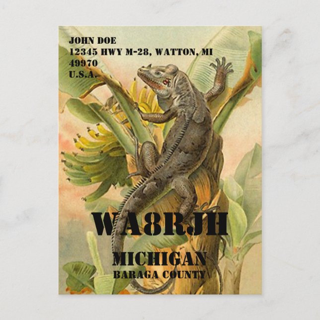 Postal Diseñar tu propia rana Op Op de operador de radio  (Anverso)