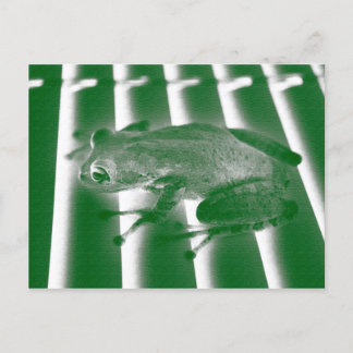 Postal diseño animal de boceto verde izquierdo de rana ar