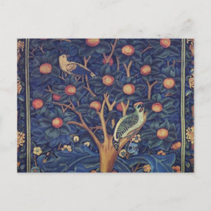 Postal Diseño azul de tapiz del pájaro carpintero de Will