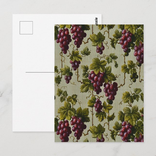 Postal Diseño botánico de uvas antiguas de 1900 (Anverso / Reverso)