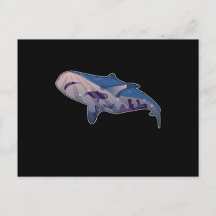 Postal Diseño de ballena de océano de peces nadando foca 