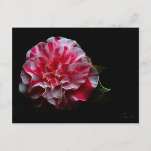 Postal diseño de camellia de menta