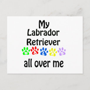 Postal Diseño de caminatas de recuperación de Labrador