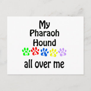 Postal Diseño de caminatas por el hebilla del faraón