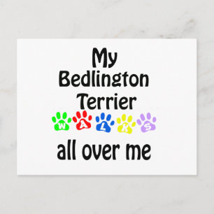 Postal Diseño de Caminos Terrier de Bedlington