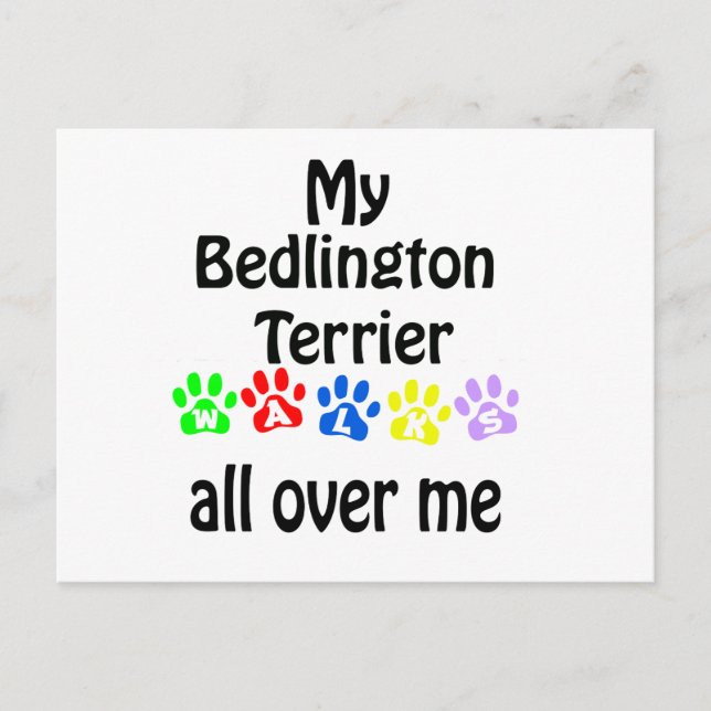 Postal Diseño de Caminos Terrier de Bedlington (Anverso)