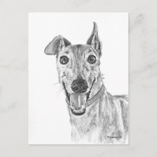 Postal Diseño de cierre de Greyhound