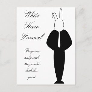 Postal Diseño de conejo blanco