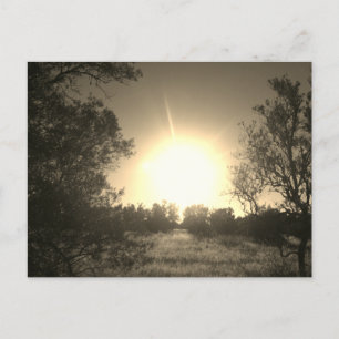 Postal DISEÑO DE ESTILO ECO DE SUNSHINE DE Postcard