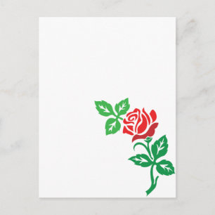 Postal Diseño de Flor de Rosa Roja – Belleza Floral Clási