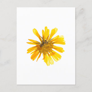 Postal Diseño de flores amarillas