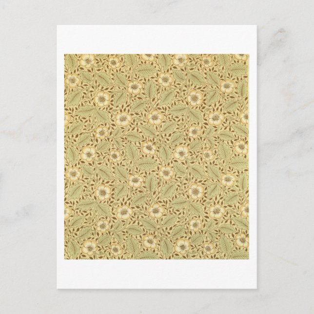 Postal Diseño de fondo de escritorio "Briar Rosa" (Anverso)