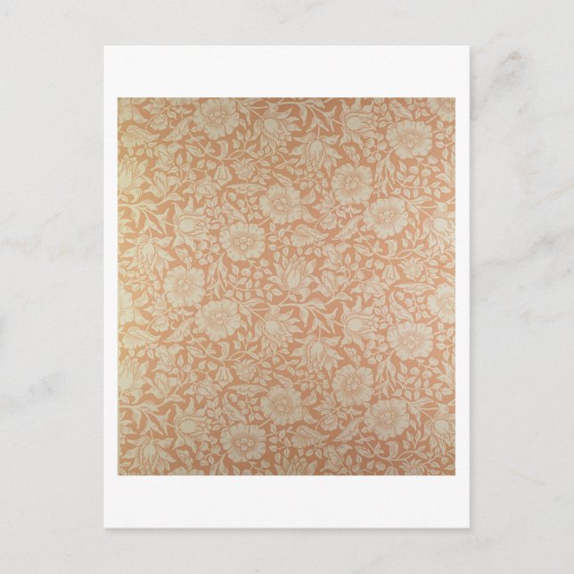 Postal Diseño de fondo de pantalla "Mallow" (Anverso)