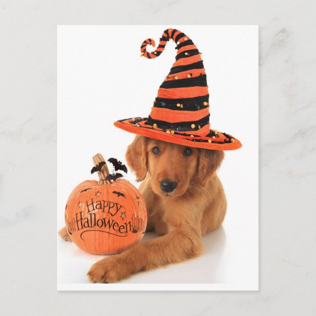 Postal Diseño de Halloween de Golden Retriever (Anverso)