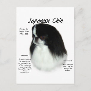 Postal Diseño de historia china en japonés