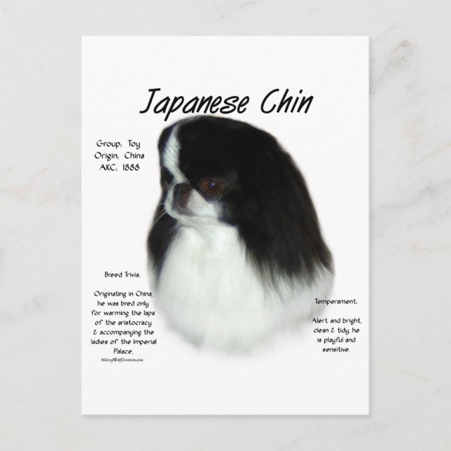 Postal Diseño de historia china en japonés (Anverso)