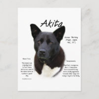 Diseño de historia de Akita negra
