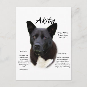 Postal Diseño de historia de Akita negra