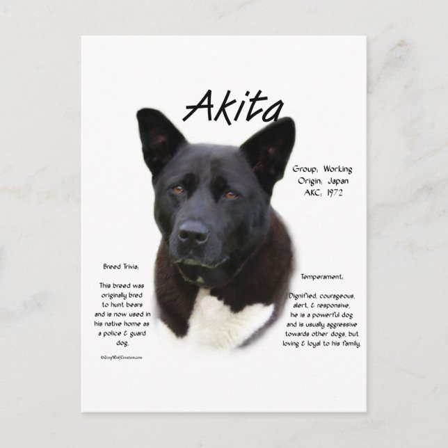 Postal Diseño de historia de Akita negra (Anverso)