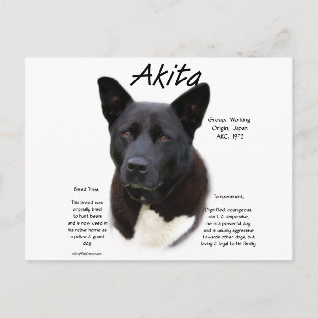 Postal Diseño de historia de Akita negra (Anverso)