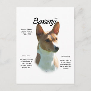 Postal Diseño de historia de castaño Basenji, todo sobre 