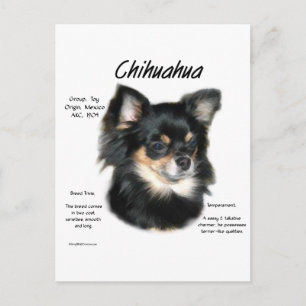 Postal Diseño de historia de Chihuahua (larga duración)