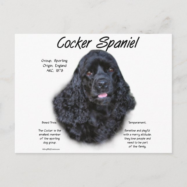 Postal Diseño de historia de Cocker Spaniel (negro) (Anverso)