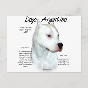 Postal Diseño de historia de Dogo Argentino