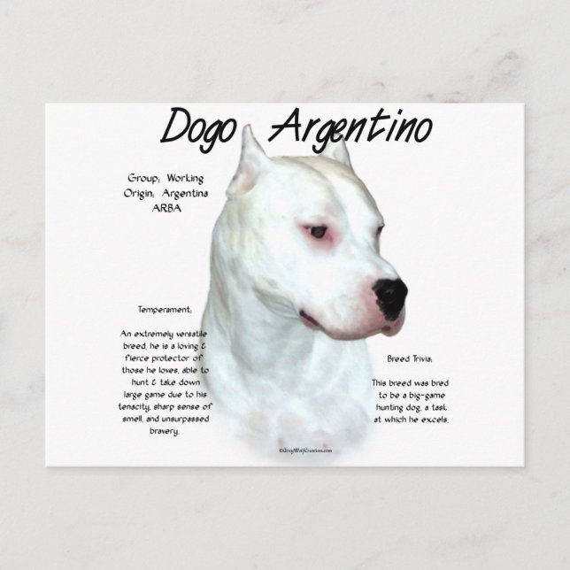 Postal Diseño de historia de Dogo Argentino (Anverso)