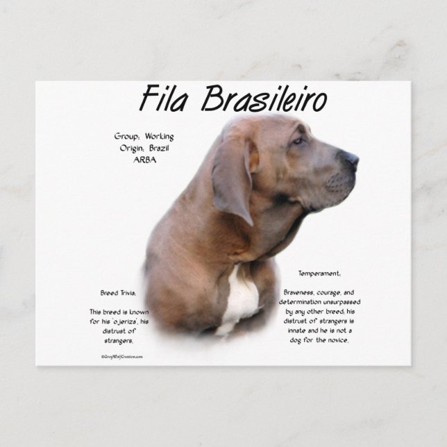Postal Diseño de historia de Fila Brasileiro (Anverso)