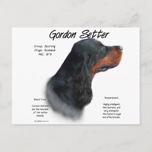 Postal Diseño de historia de Gordon Setter