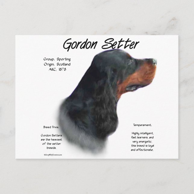 Postal Diseño de historia de Gordon Setter (Anverso)