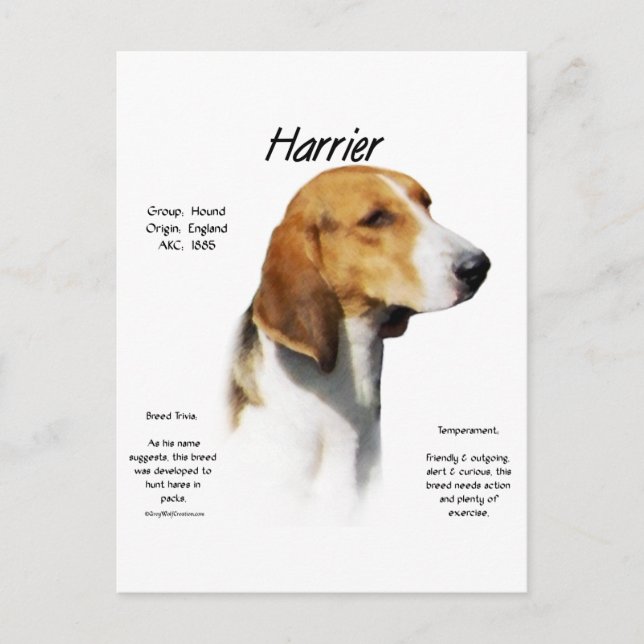 Postal Diseño de historia de Harrier (Anverso)