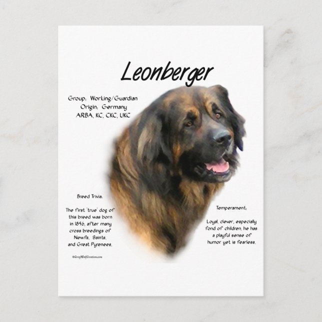 Postal Diseño de historia de Leonberger (Anverso)