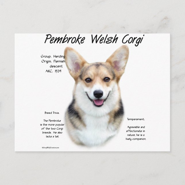 Postal Diseño de historia de Pembroke Welsh Corgi (Anverso)