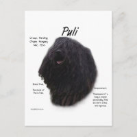 Diseño de historia de Puli