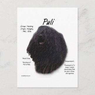 Postal Diseño de historia de Puli