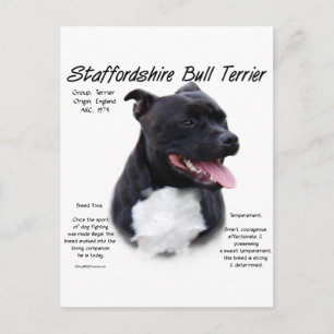 Postal Diseño de historia de Staffordshire Bull Terrier