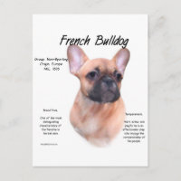 Diseño de historia del Bulldog francés